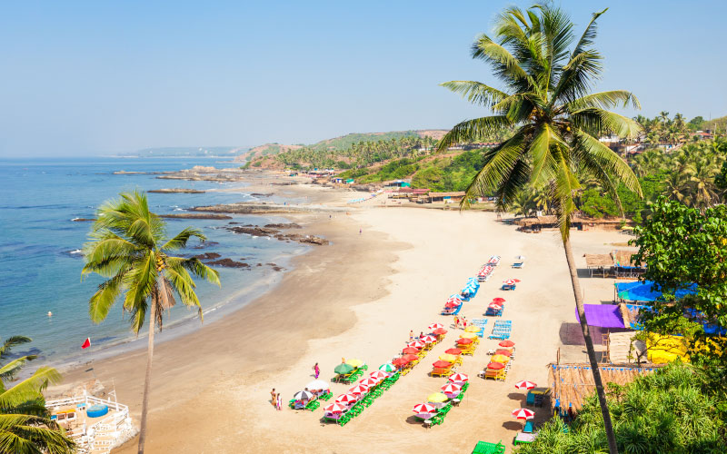 Why Choose Goa Travel Mart